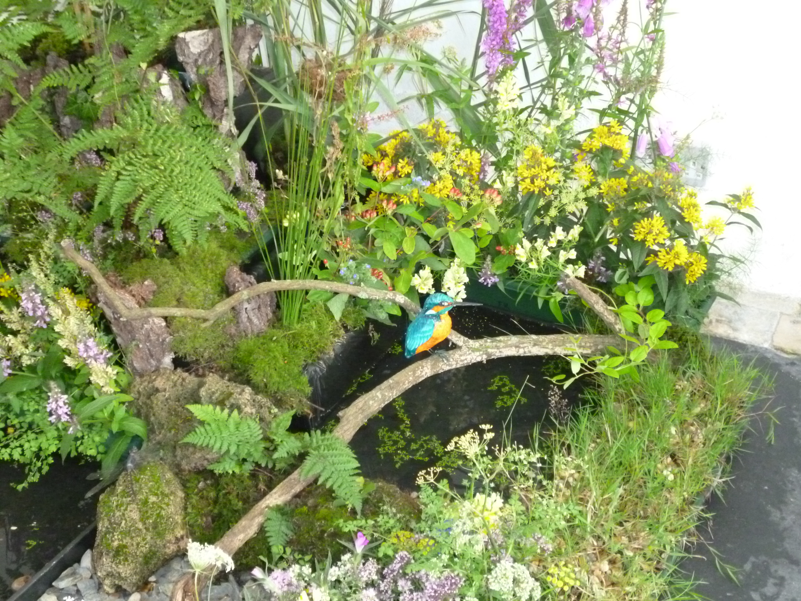 Wildlife and Wetlands
