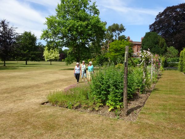Lawn with beds