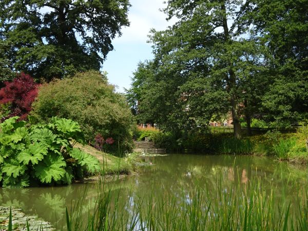 Pond
