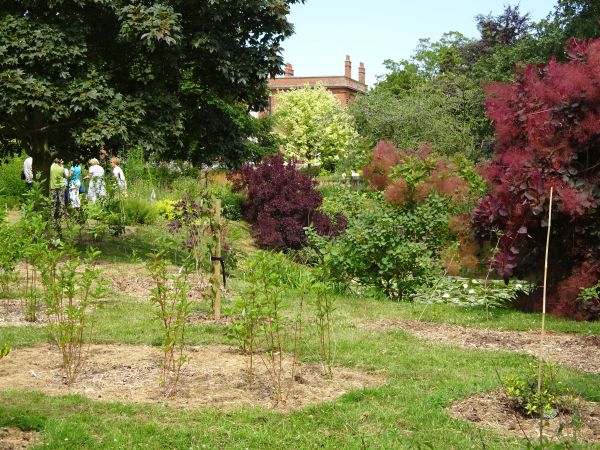 Lawn with inset beds