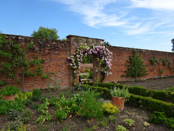 Brick wall with plants