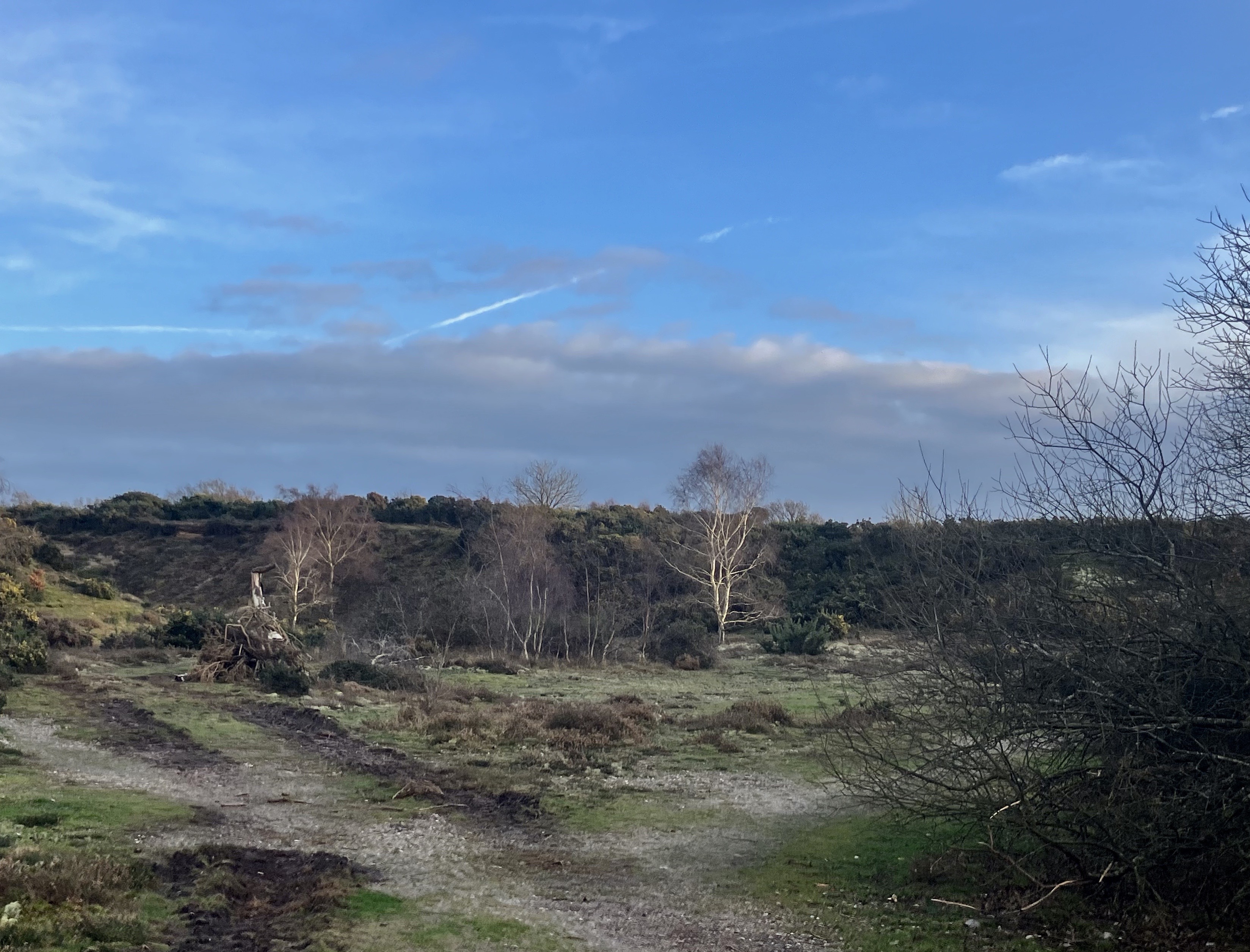 Westleton Common Landscape